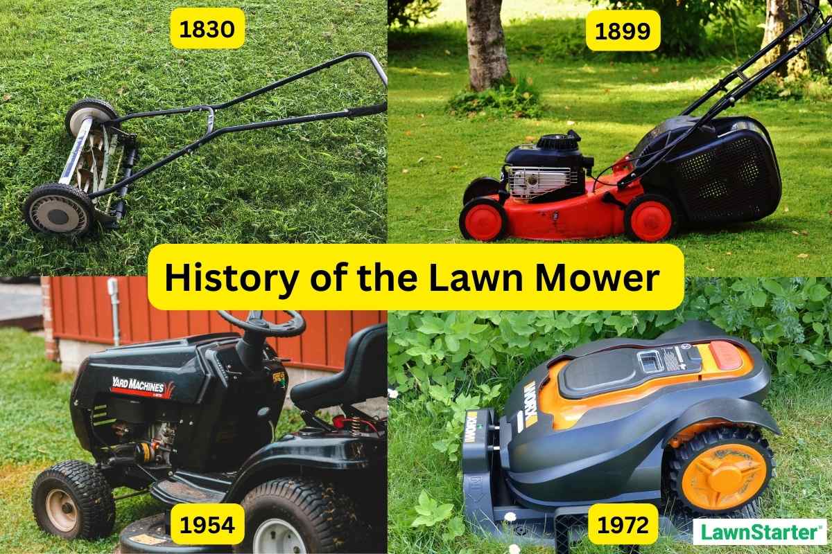 collage of different types of lawn mowers