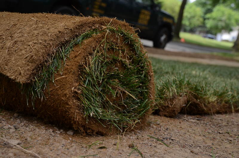 photo of a roll of sod