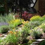 Xeriscaping Guide for Boise Homeowners