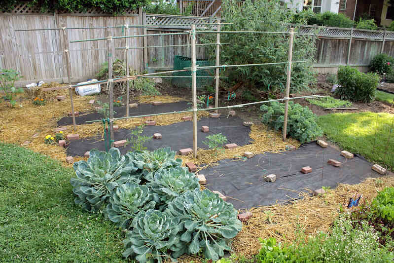 landscape fabric in a newly planted garden
