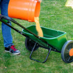 7 Common Fertilizer Mistakes to Avoid