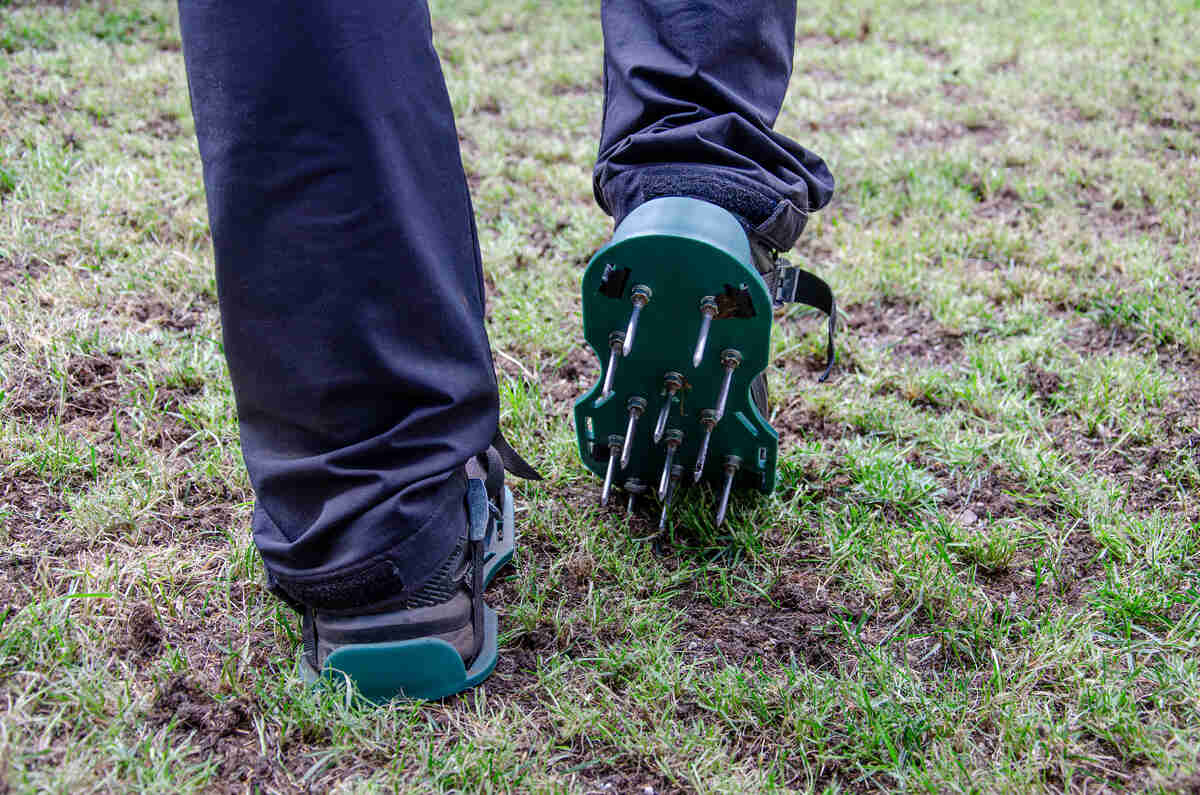 person walking on lawn using spike aeration shoe attachments