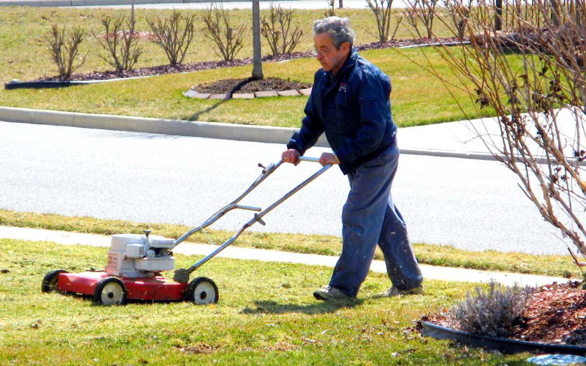 Lawn dethatching