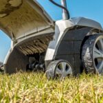 Can You Dethatch and Aerate at the Same Time?