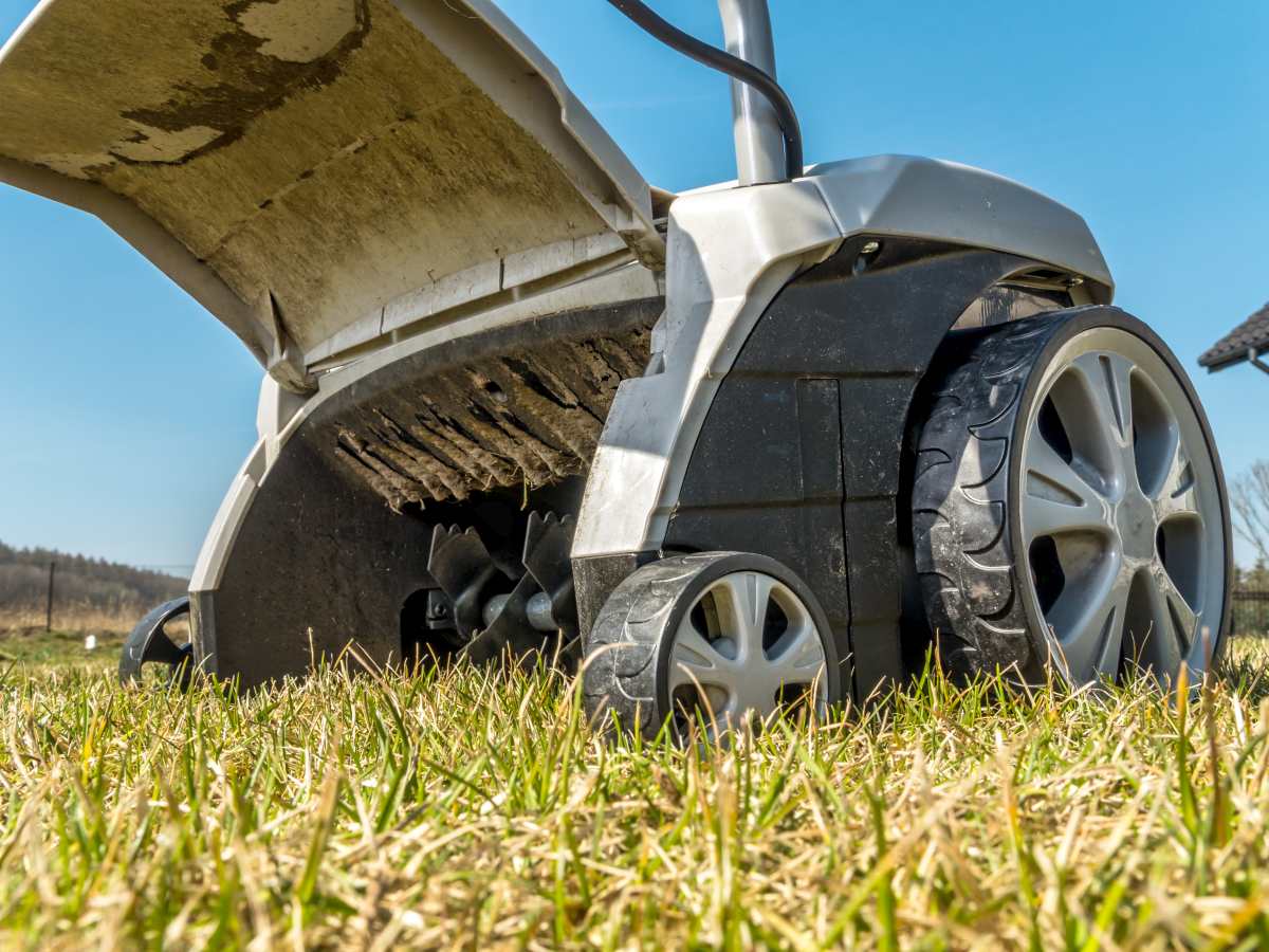 Close-up of an electric lawn dethatcher