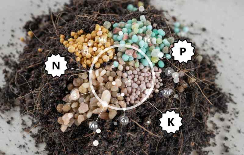 Fertilizers with nutrient elements pointed out