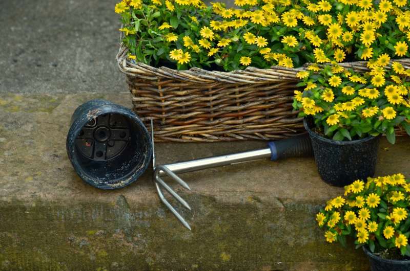 Garden hoe