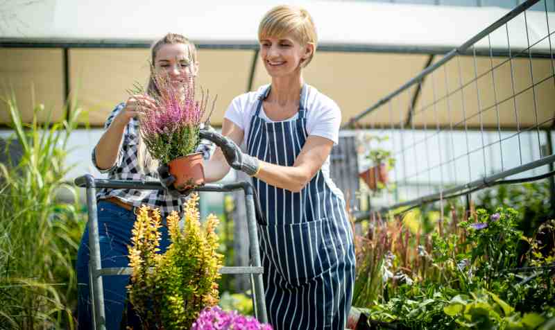 Gardener woman advising female client about buying flowers in the garden center