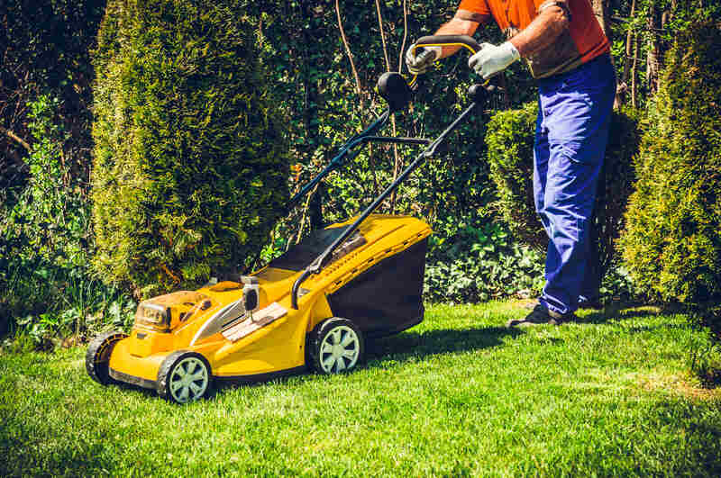 Man mowing lawn