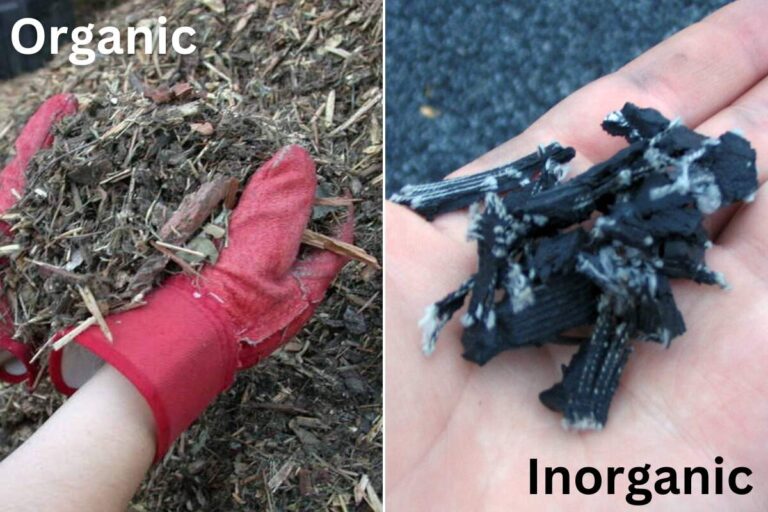 Organic (wood) and inorganic (rubber) mulch materials