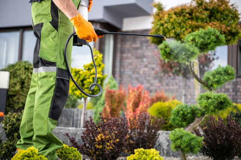 Herbicide/Pesticide Spraying Closeup
