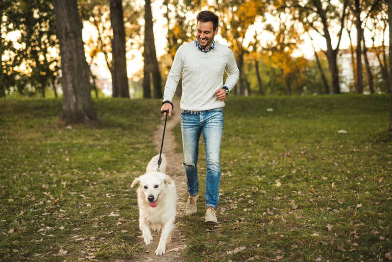 Walking the dog
