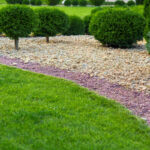 5 Types of Inorganic Mulch: Which Is Best?