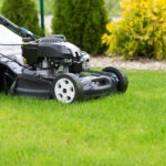 What Is The Best Time of Day to Mow Grass?
