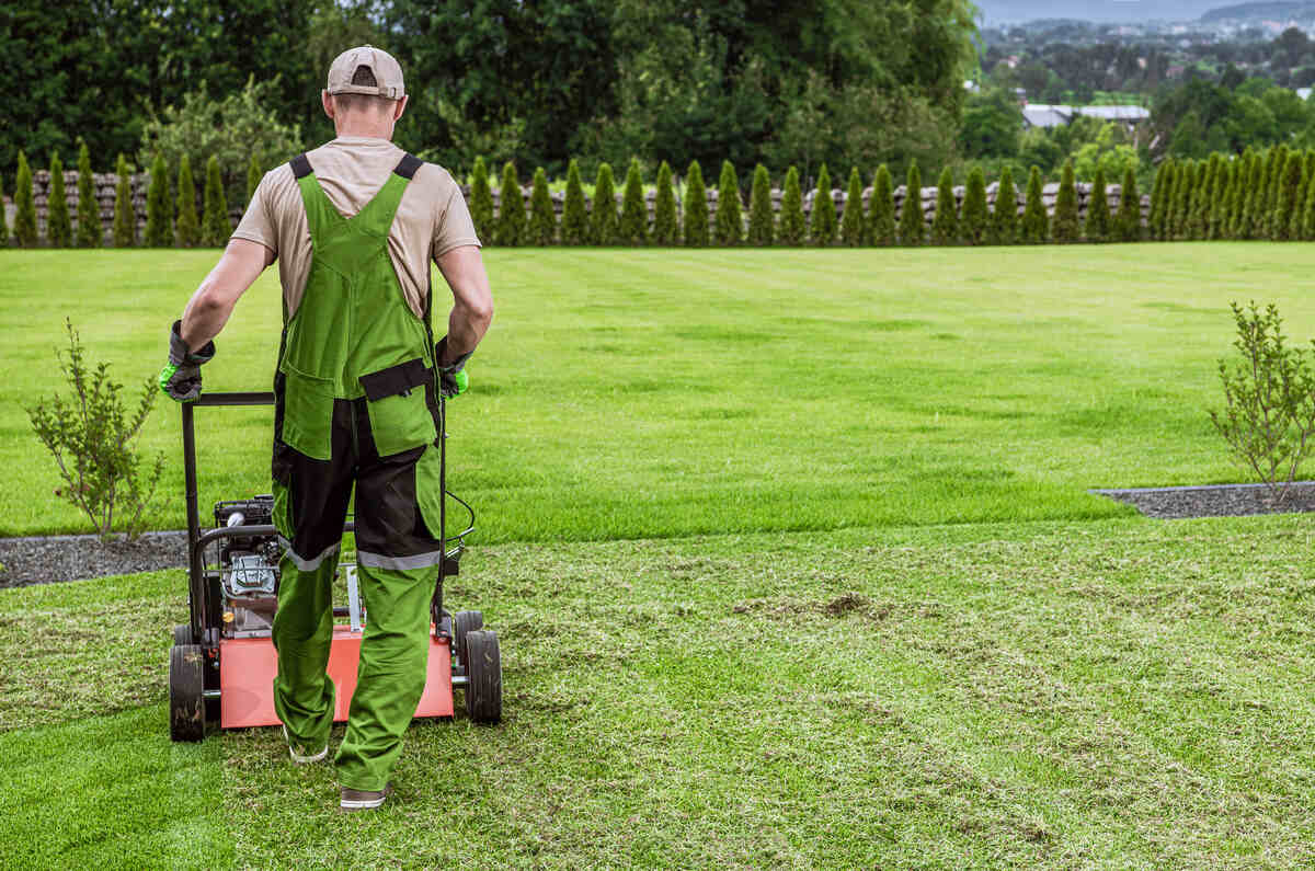 man aerating lawn using gasoline aerator