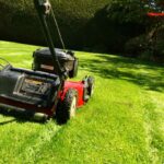 Mulching vs. Bagging Grass Clippings