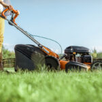 Should You Mow Before Fertilizing Your Lawn?