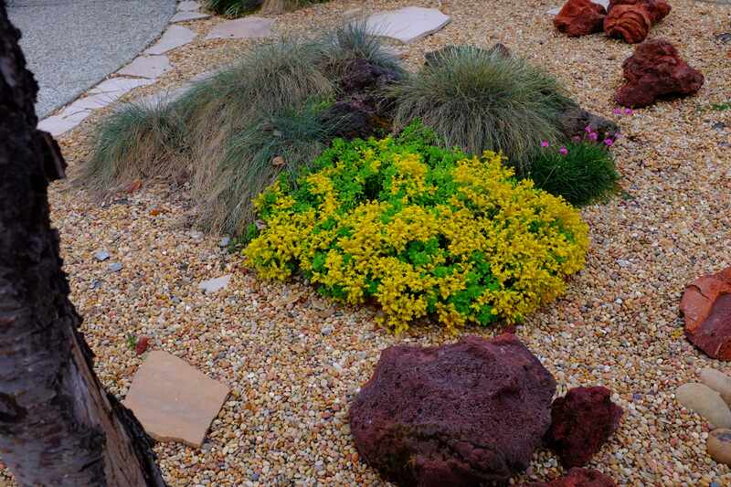 Rock Mulch Garden Bed