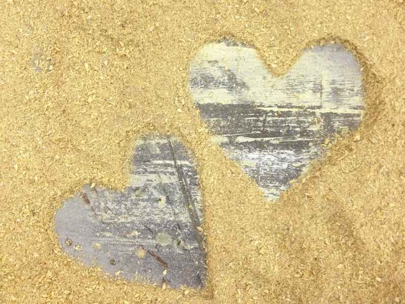 Sawdust mulch with two hearts traced in it