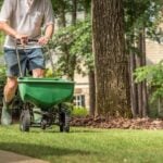 When and How Often Should You Fertilize Your Lawn?