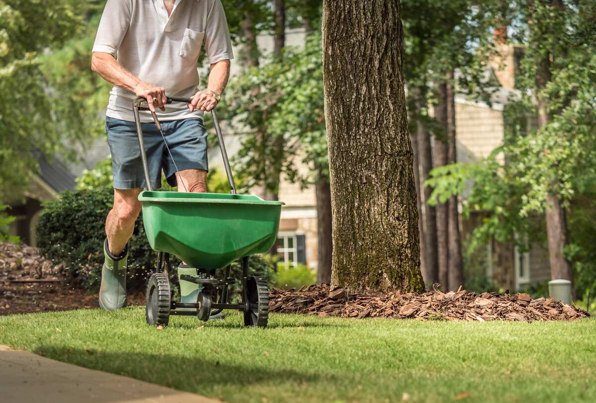 Man seeding and fertilizing residential lawn with manual grass seed spreader.