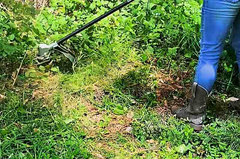 person using a string trimmer