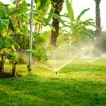 How Often to Water Your Lawn in the Crestview-Fort Walton Beach Area