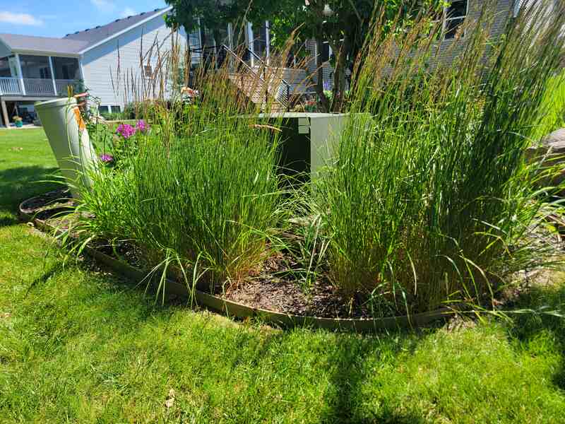 utility boxes and posts being camouflaged by landscaping, using various plants and grasses