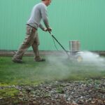 How to Tell If Your Lawn Needs Lime (6 Signs)