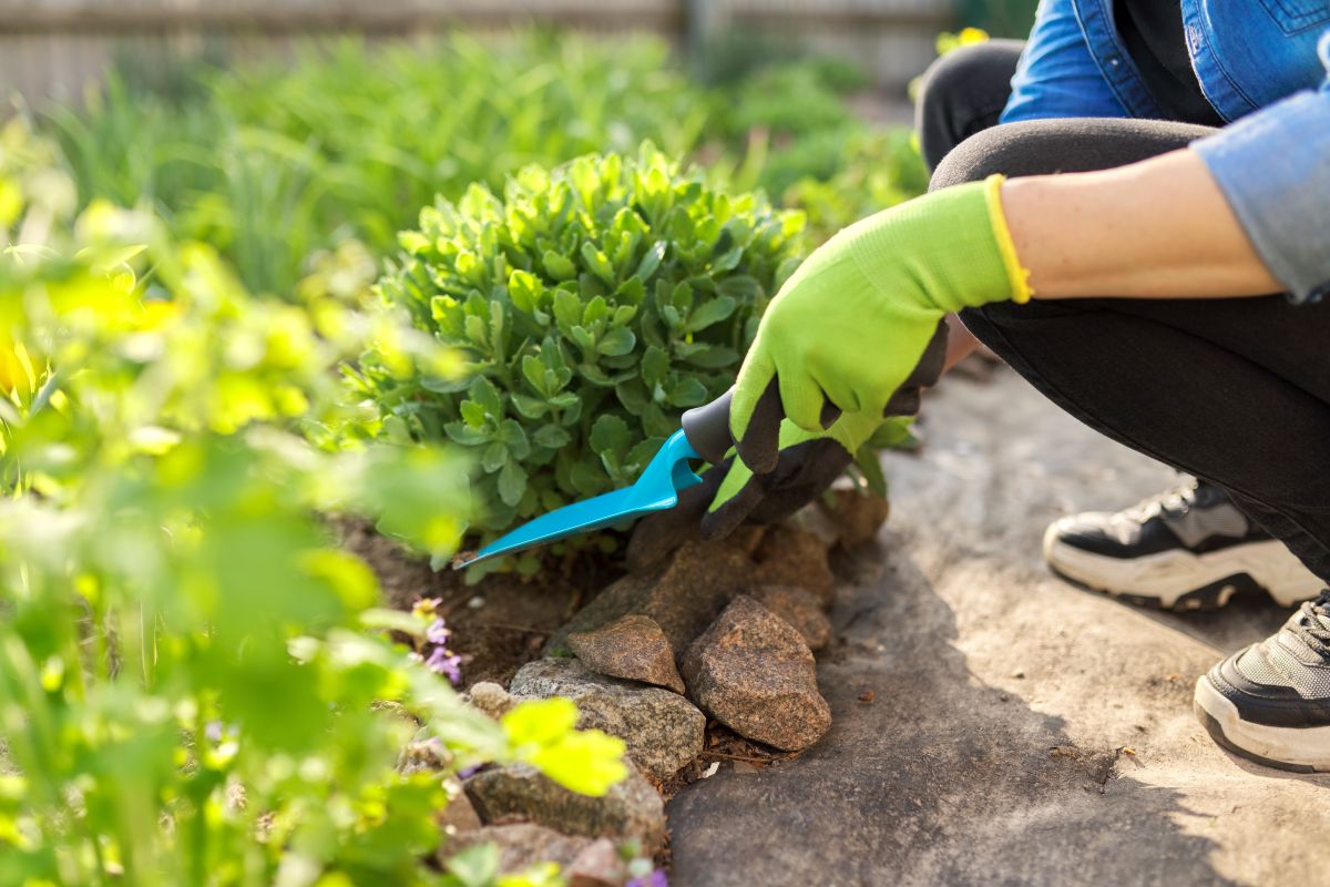 Woman using a trowel in a garden