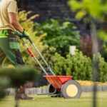 How and When to Fertilize Bermudagrass Lawns