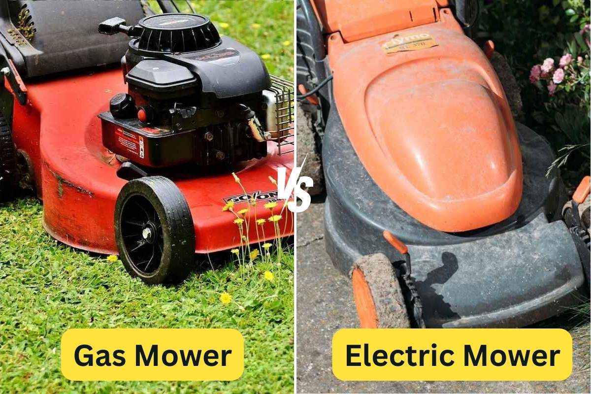 Side by side image of Electric and gas lawn mowers