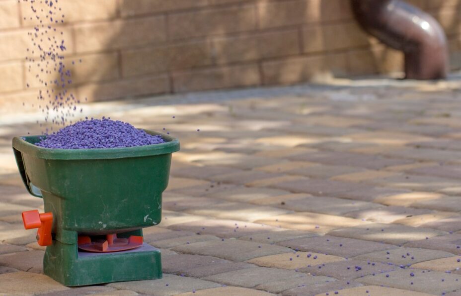 When to Fertilize Kentucky Bluegrass