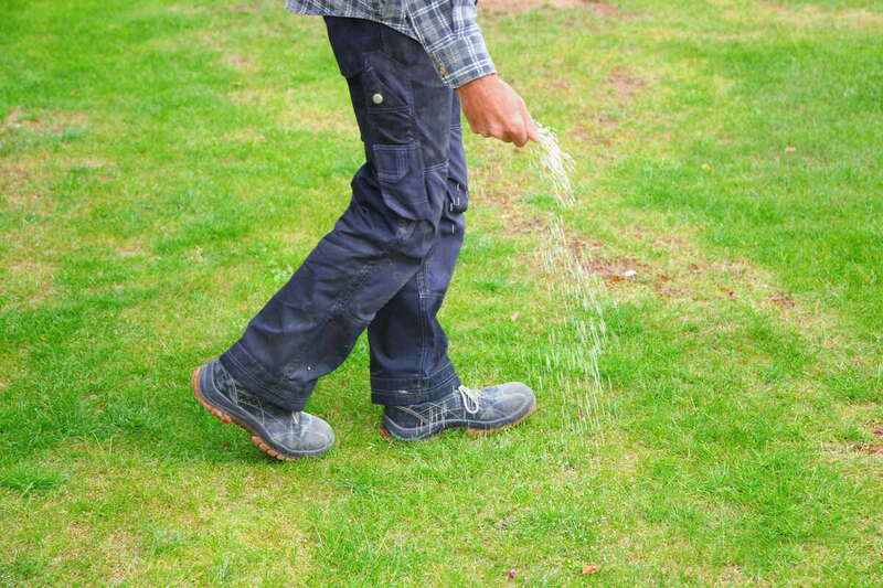 one man farmer is fertilizing the lawn soil. male hand of worker, Fertilizer For Lawns in springtime for the perfect lawn. Organic lawn fertilizer in man's hand on garden background