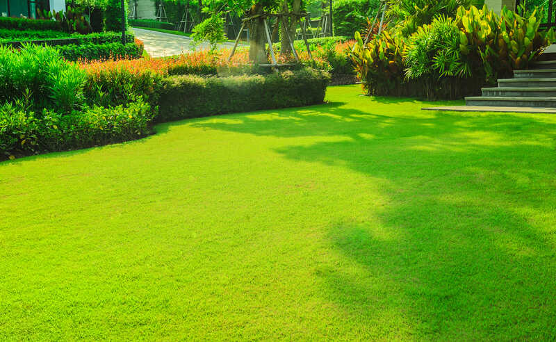 A bright green lawn 