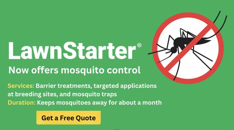 LawnStarter offers Mosquito control, with a silhouette of a mosquito with a red circle and bar across it to signify "no mosquitoes"