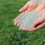 Why Add Iron Fertilizer to Your Lawn? (5 Benefits)