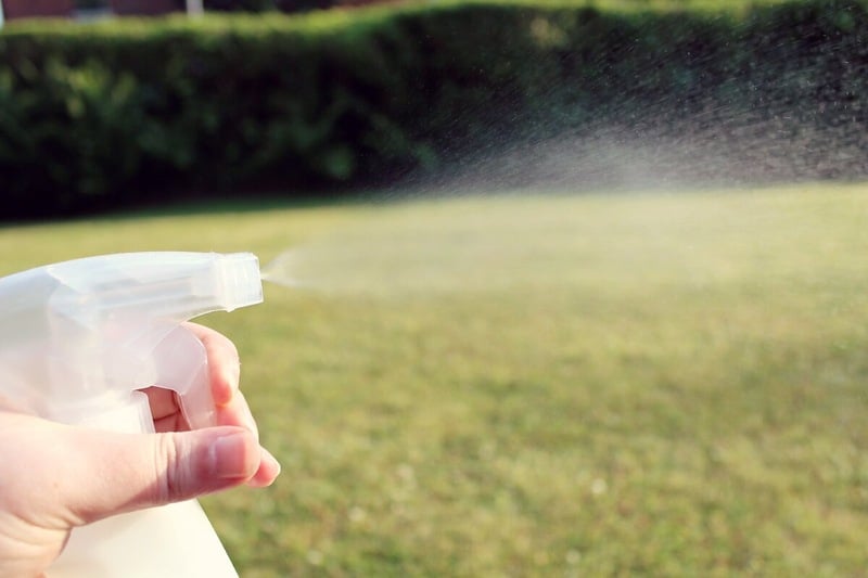 close-up of a liquid being sprayed from a spray bottle outside with grass in the background