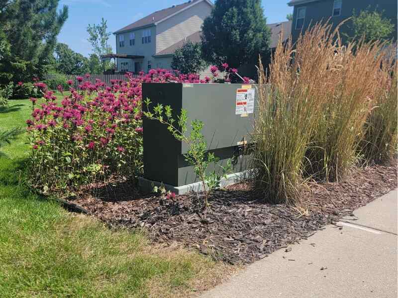large utility box hidden by tall grasses and bee balm