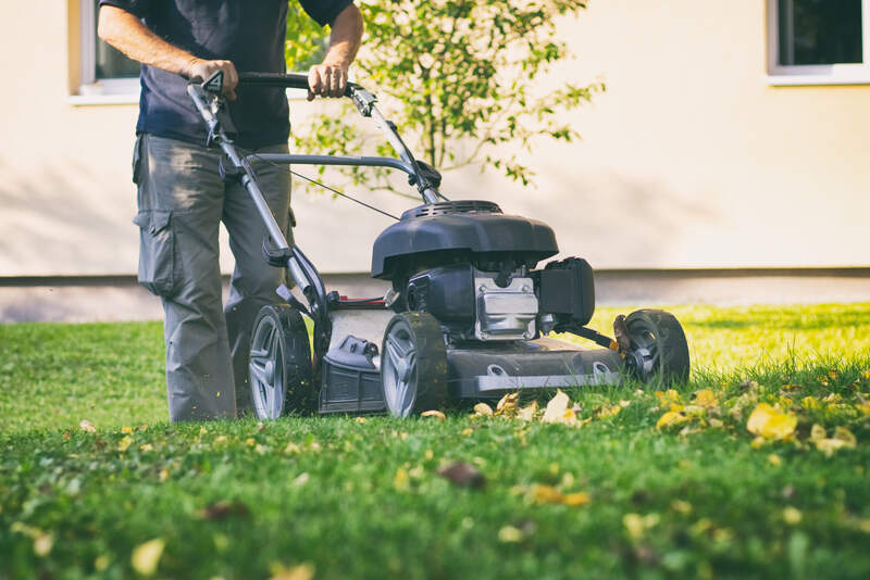 Man mowing the grass and mulching leaves, using a gas lawn mower