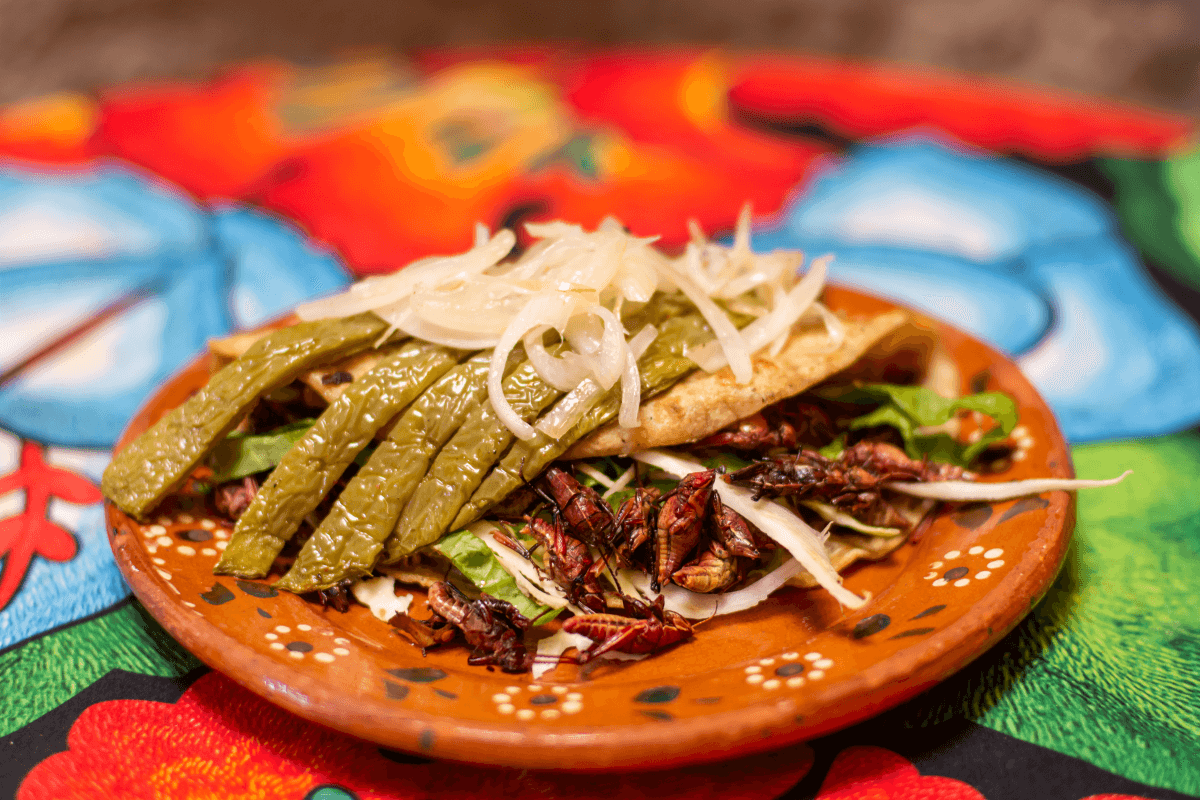 Taco with grasshoppers and vegetables