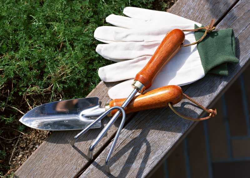 Pair of gloves, hand trowel, weeding fork