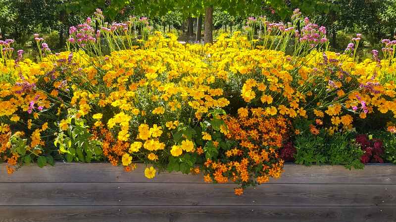 Raised flower bed