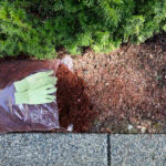 What Is Mulch?