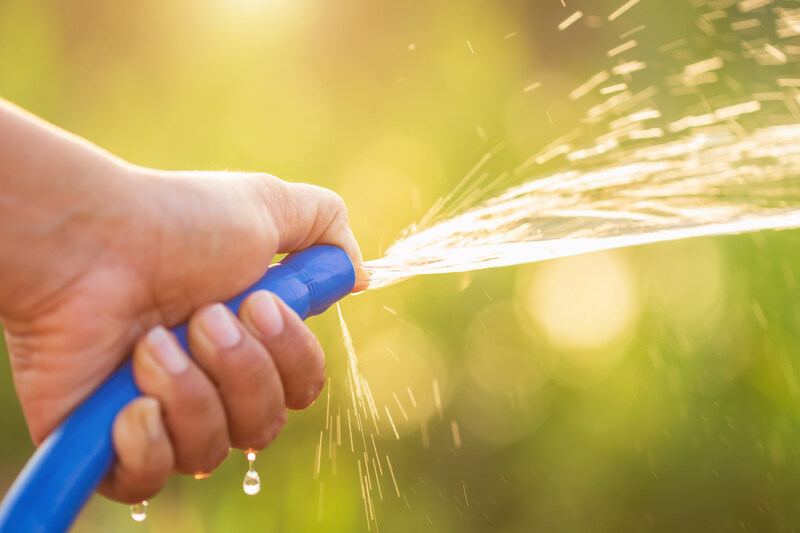Hand holding water hose and watering