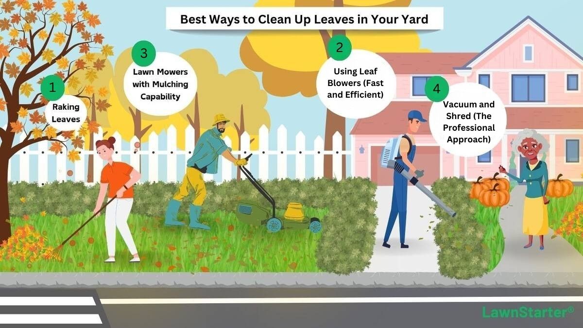 graphic illustrating the top ways to clean up leaves in your yard