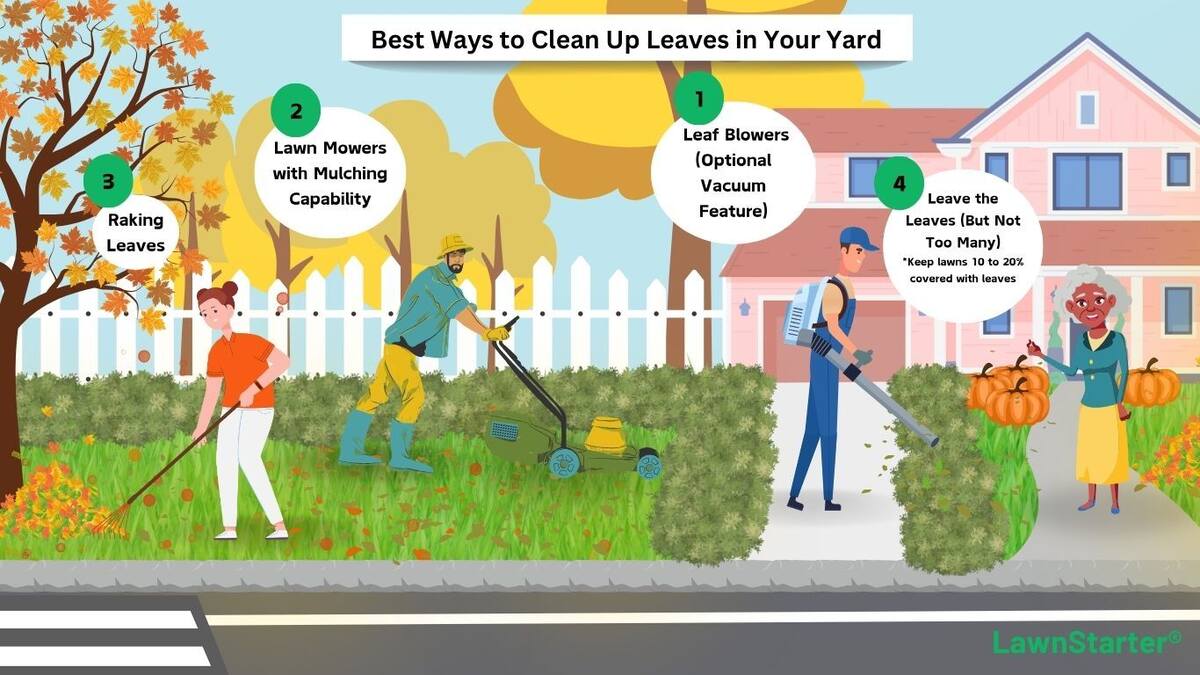 graphic illustrating the top 5 ways to clean up leaves in your yard