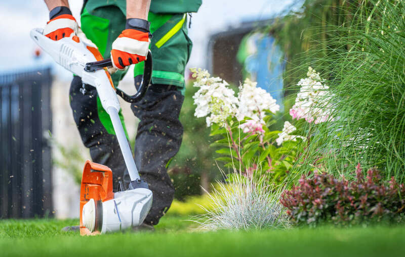 Professional Gardener with Lawn Edger Cutting Lawn Edges