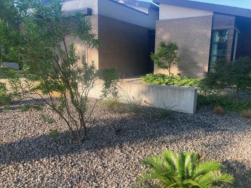 xeriscaping in front of a home in Dallas