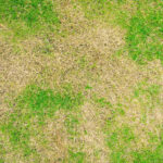 How to Fix Patchy Grass